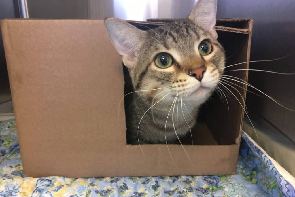 Ok, I live here now. You can visit