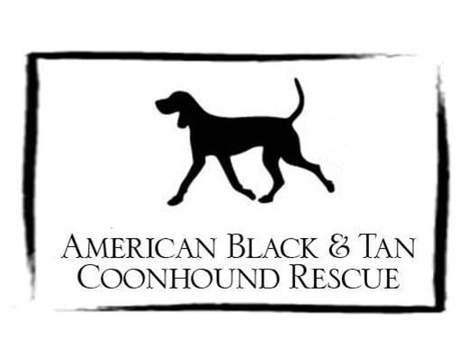 American Black and Tan Coonhound Rescue