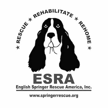 English Springer Rescue of America (ESRA)