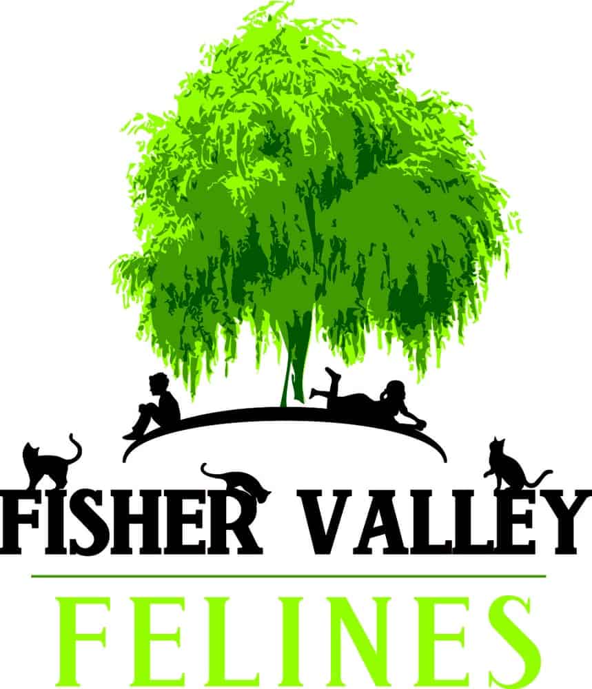Fisher Valley Felines