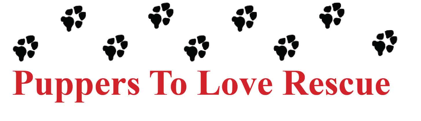 Puppers to Love