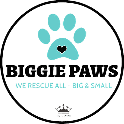 Biggie Paws Rescue