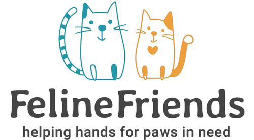 Feline Friends
