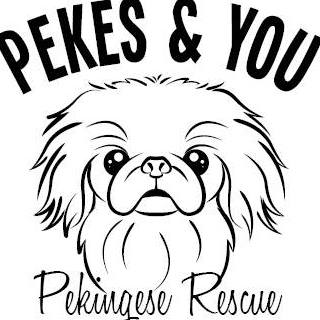 Pekes and You Pekingese Rescue