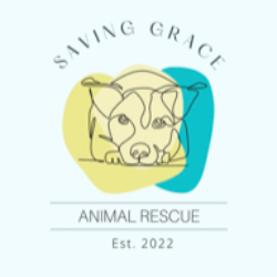 Saving Grace Animal Rescue