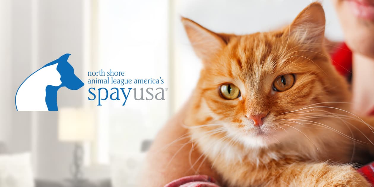 NorthShore Animal League — SpayUSA logo