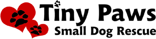 Tiny Paws Small Dog Rescue